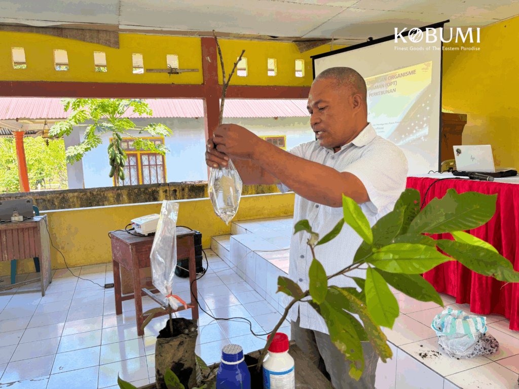 Dukung Peningkatan Kapasitas Petani Pala Leihitu Lewat Pelatihan Praktis