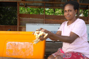 Udang Mangrove Kobumi dari Konda