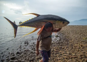 yellow fin tuna kobumi product