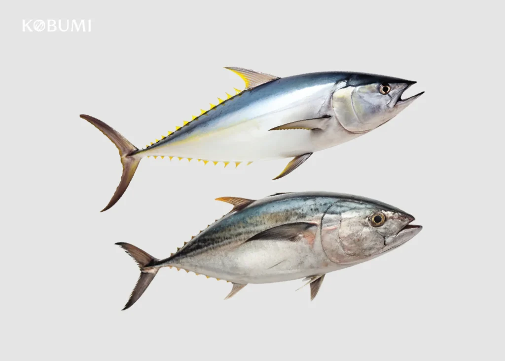Tuna Kobumi Product